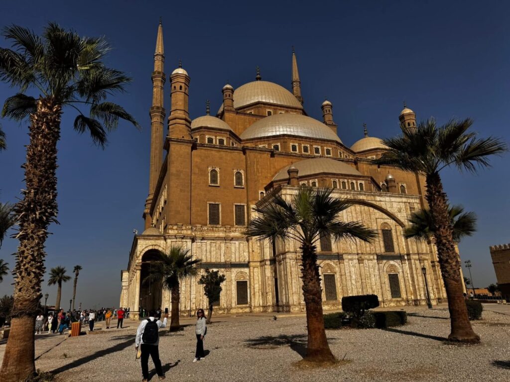 WhatsApp Image 2025-12-22 at 16.50.07_26a4ca10