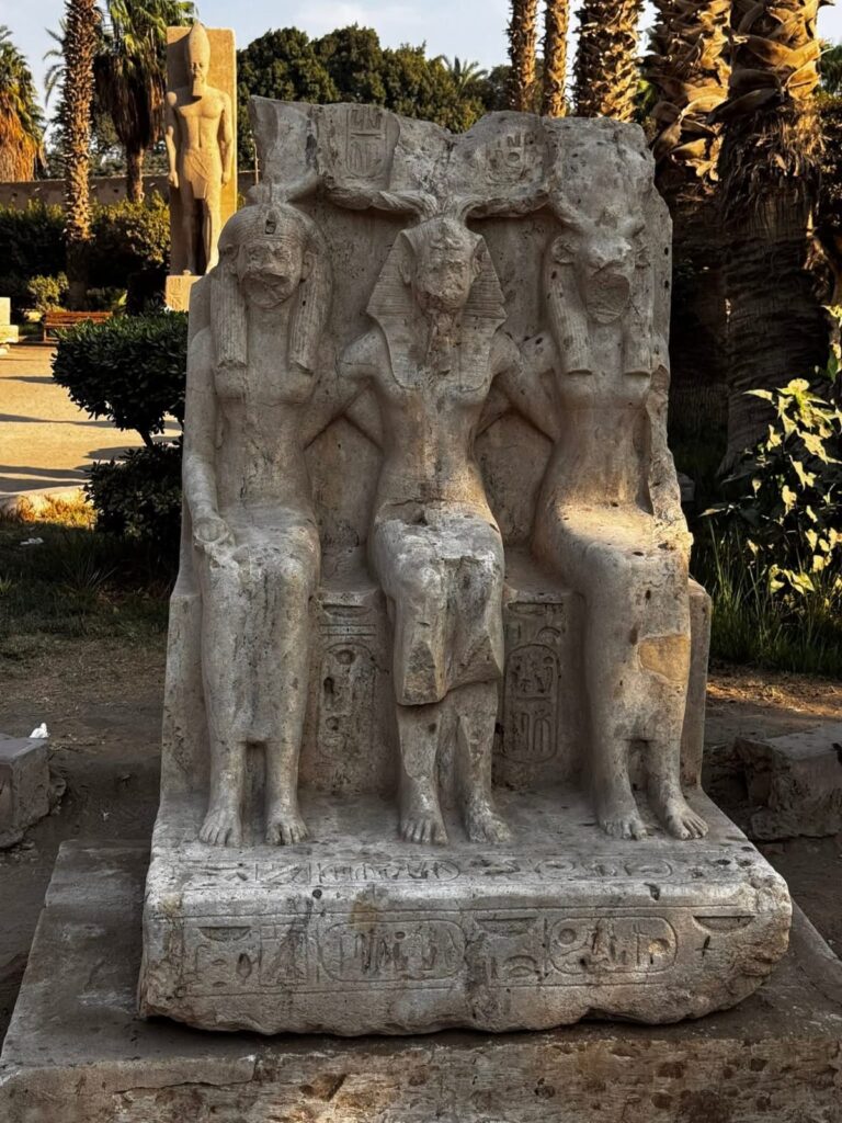 WhatsApp Image 2025-12-22 at 16.50.10_2ec9bf1c