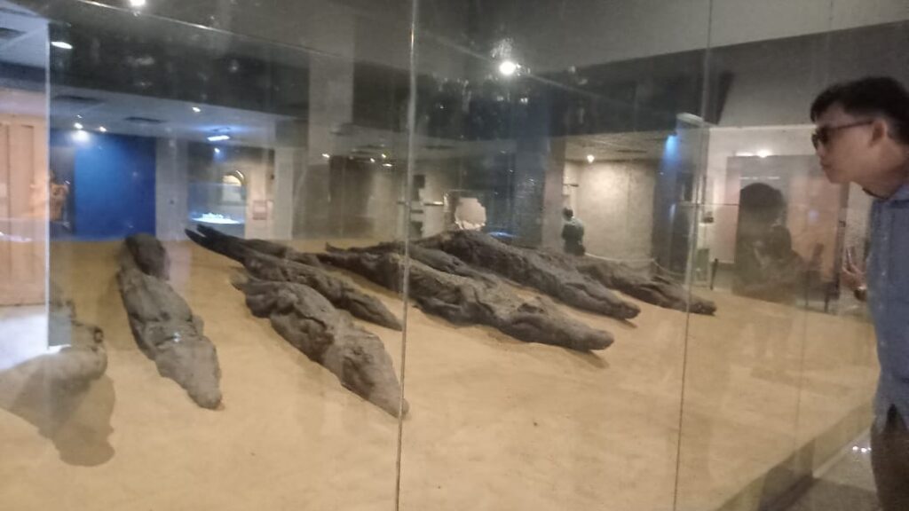 WhatsApp Image 2025-12-23 at 12.40.17_6405869e