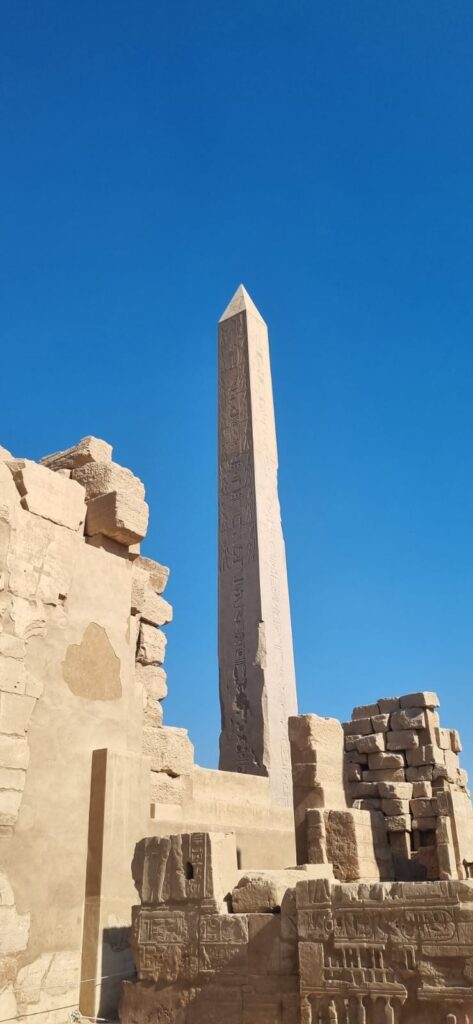 WhatsApp Image 2025-12-24 at 15.16.13_c799a246