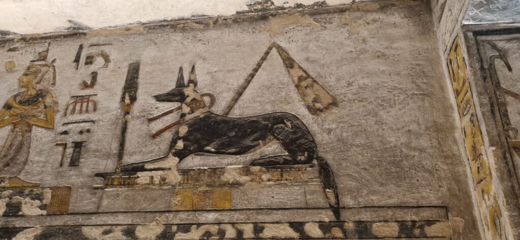 WhatsApp Image 2025-12-24 at 15.16.15_55399436