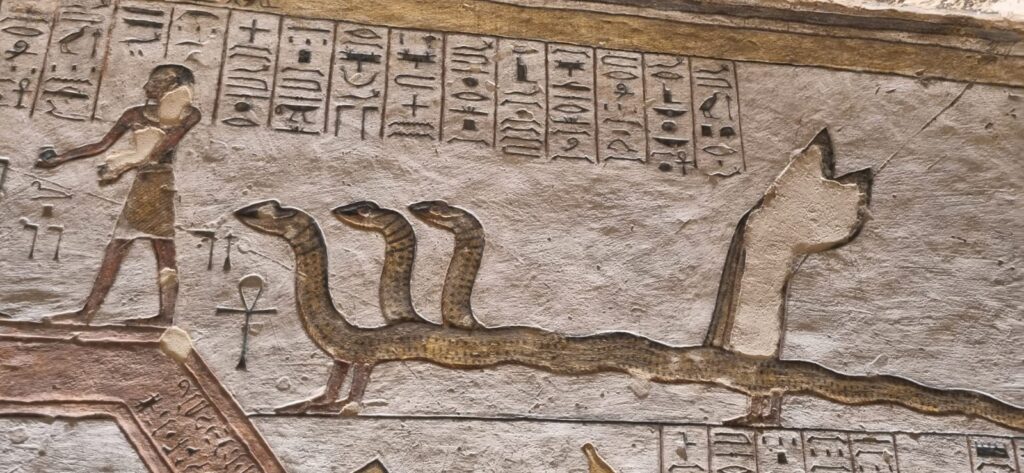 WhatsApp Image 2025-12-24 at 15.16.15_9080f282