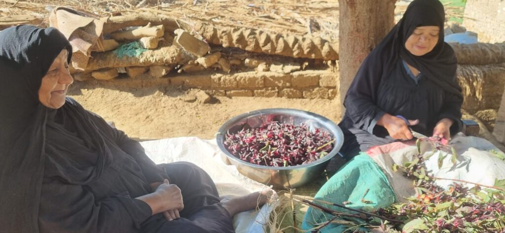 WhatsApp Image 2025-12-24 at 15.16.17_c610ea31