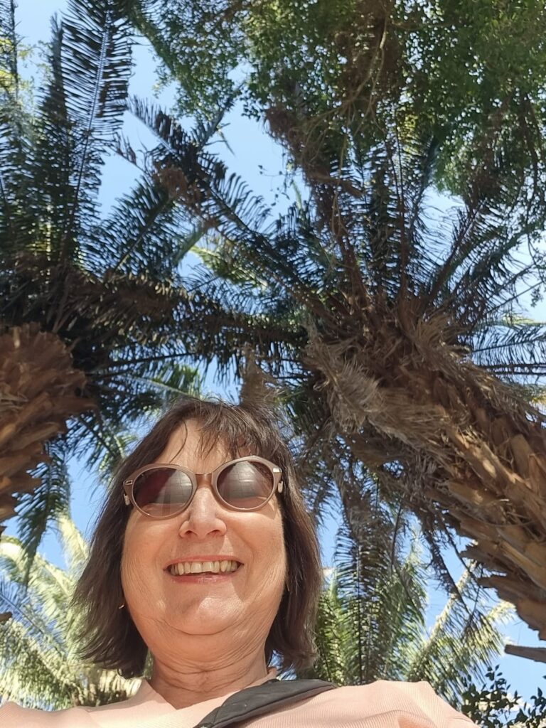 WhatsApp Image 2025-12-24 at 15.16.21_cddf0b31