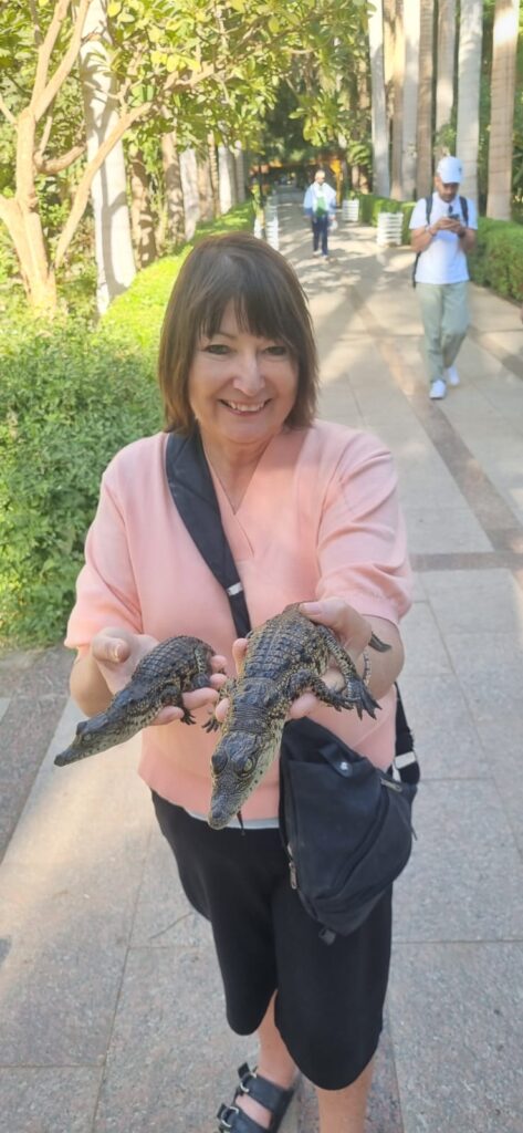 WhatsApp Image 2025-12-24 at 15.16.21_fbd33441