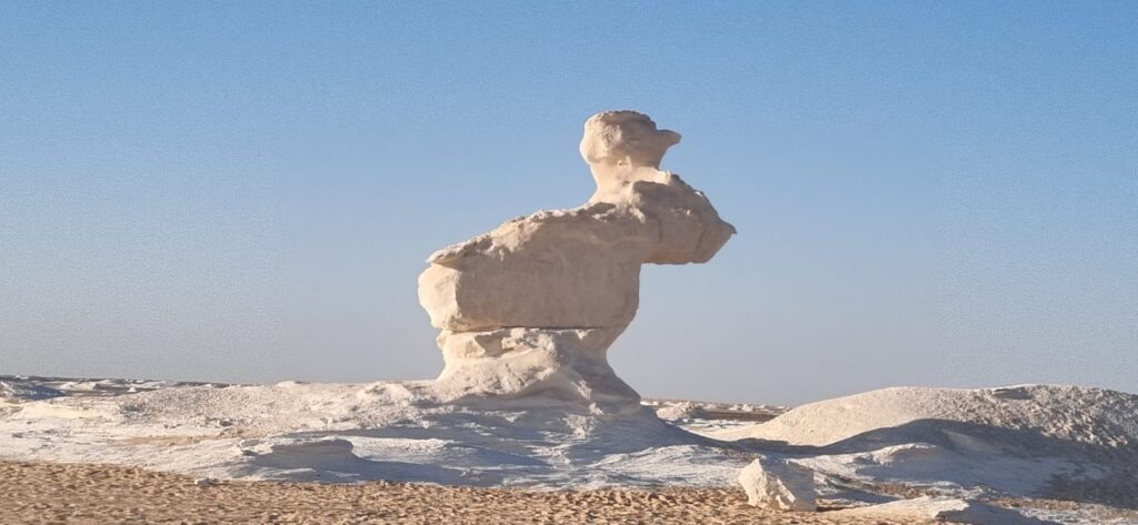 WhatsApp Image 2025-12-25 at 08.35.05_e10e2eeb