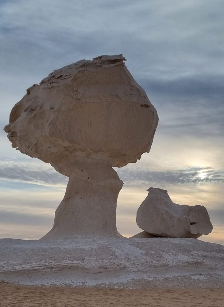 WhatsApp Image 2025-12-25 at 08.35.06_06710384