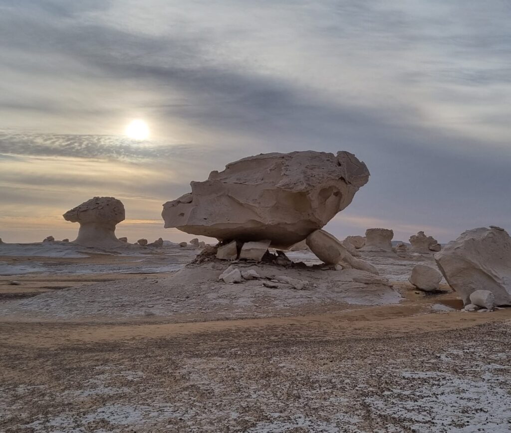 WhatsApp Image 2025-12-25 at 08.35.06_728a77fa