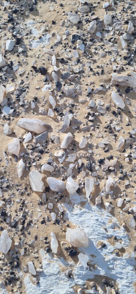 WhatsApp Image 2025-12-25 at 08.36.21_3e60b109