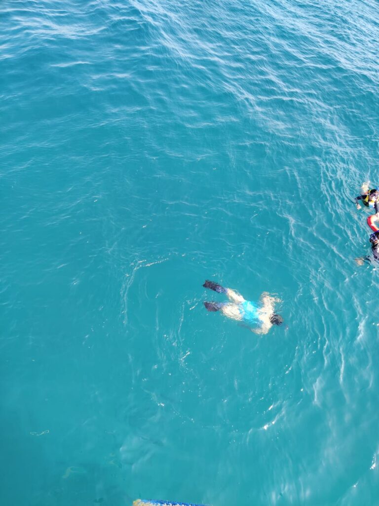 WhatsApp Image 2025-12-26 at 14.29.15_0c99e043