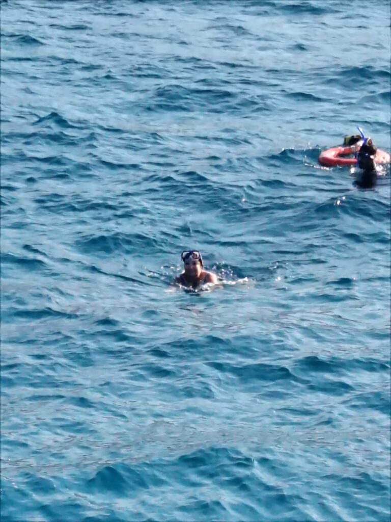 WhatsApp Image 2025-12-26 at 14.29.17_5de3e341