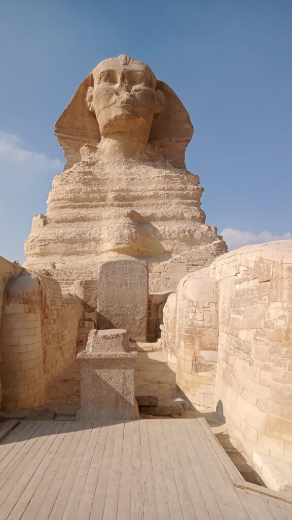 WhatsApp Image 2025-12-26 at 19.13.45_a84edac7