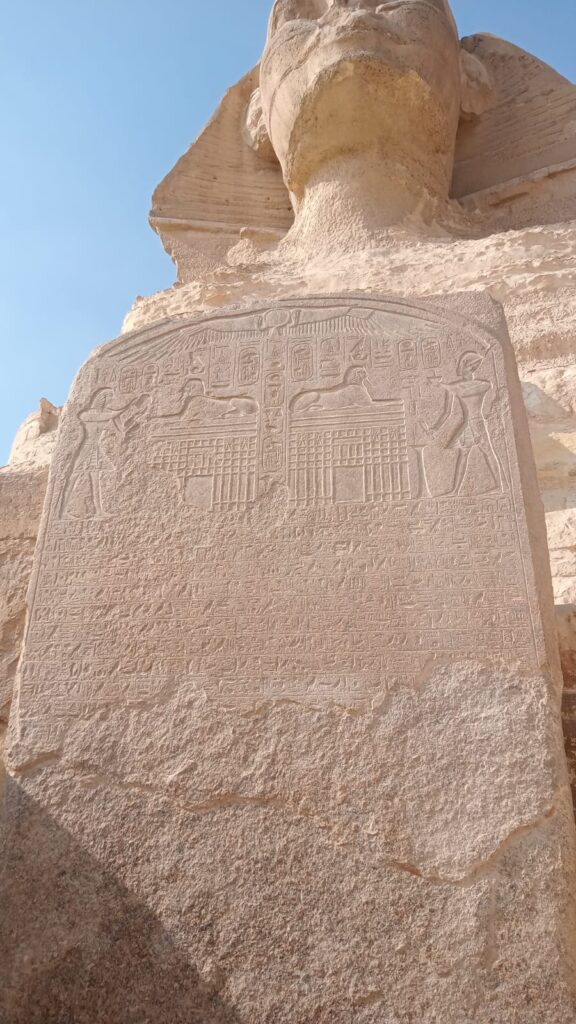 WhatsApp Image 2025-12-26 at 19.13.46_8de9ff5a