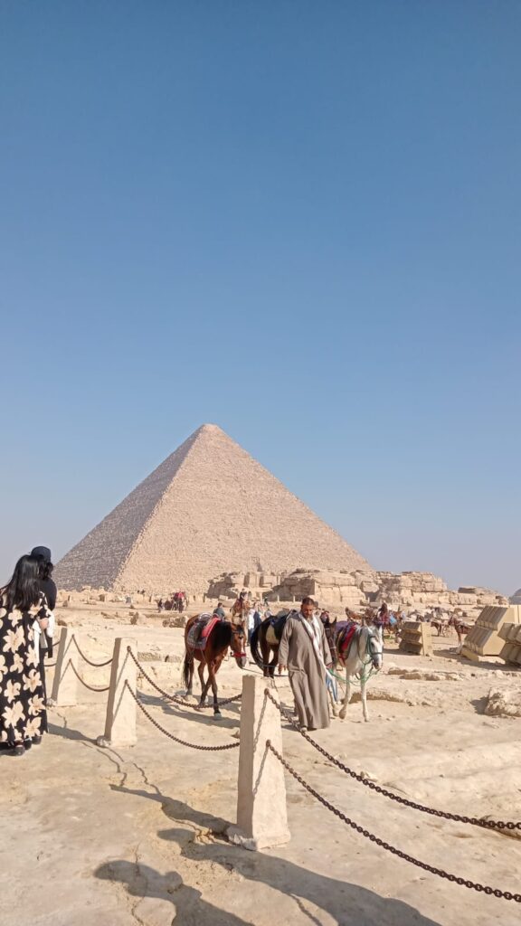 WhatsApp Image 2025-12-26 at 19.13.46_bb2e3c60