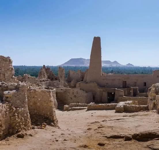 WhatsApp Image 2025-12-29 at 22.49.45_b20c2891