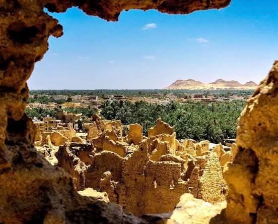 WhatsApp Image 2025-12-29 at 22.49.45_daa42d00