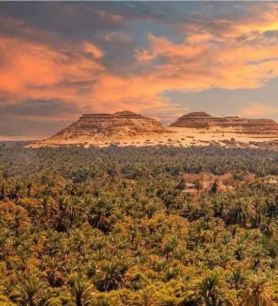 WhatsApp Image 2025-12-29 at 22.49.46_9b6ac1cb