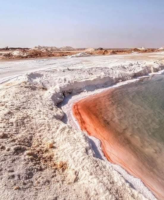 WhatsApp Image 2025-12-29 at 22.49.47_9caab1db