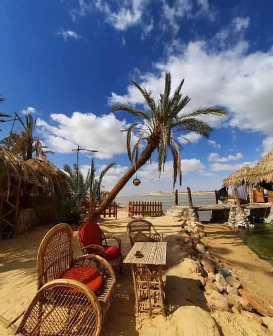 WhatsApp Image 2025-12-29 at 22.49.47_f86509e9