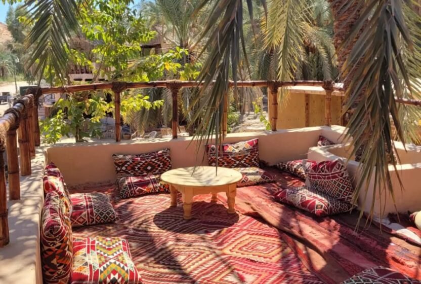 Seating area under palm trees in Siwa