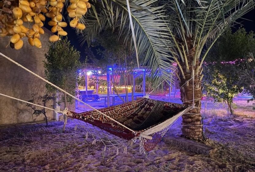 Palm garden lit at night in Siwa