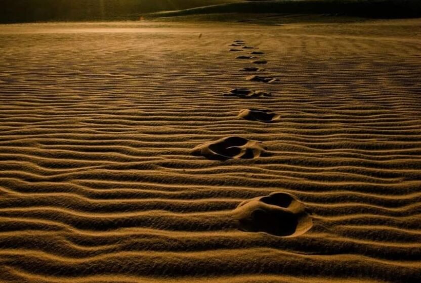 Footprints in the rippled sand of the Siwa desert
