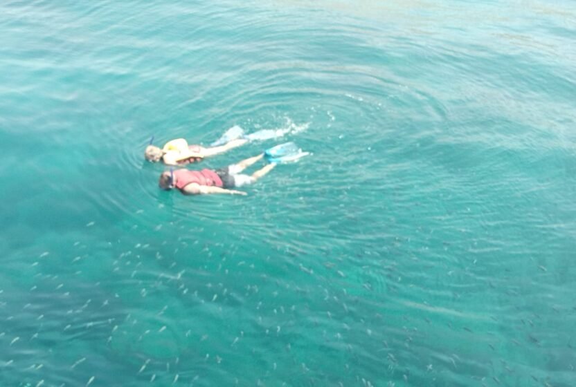 Snorkelling over the reef at Ain Sokhna